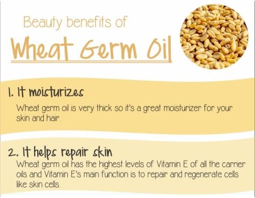 Salvia Wheat Germ (Triticum aestivum) Oil - 15ml/0.507Fl Oz