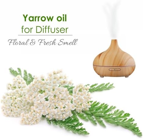 Yarrow Essential Oil (Achillea millefolium) Pure & Natural - Undiluted Uncut Premium Oil -Therapeutic Grade- Use for Aromatherapy (1 Fl Oz (Pack of 1))