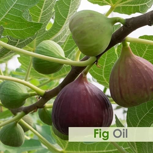Salvia Fig Oil Pure and Natural Fig Oil I Skin Care (Moisturize, Nourish, Rejuvenate),Hair Care (Prevent Dry Brittle and Split Ends) Aromatherapy Oil 100 ML