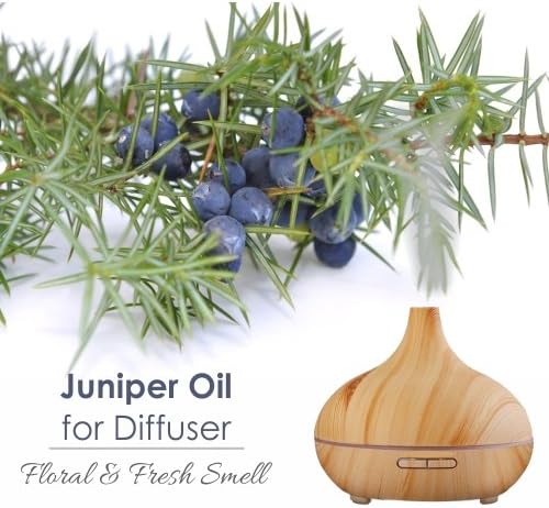 Salvia Juniper Berry (Juniperus) Oil - 15ml/0.507Fl Oz