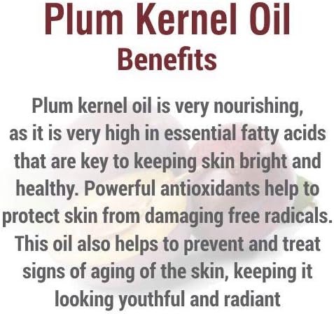 Salvia Plum Kernel Oil (Prunus domestica) 100% Natural & Pure Undiluted Uncut Carrier Oil for Skin & Hair Perfect for Aromatherapy Therapeutic Grade - (30 ML)