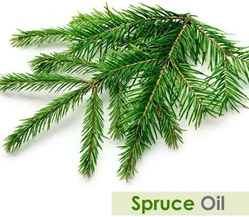 Salvia Spruce (Picea) Oil - 15ml/0.507Fl Oz with Dropper