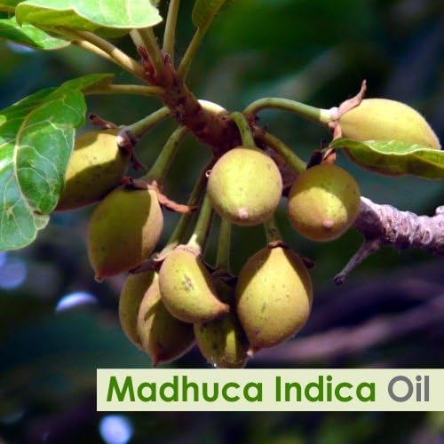 Madhuca Indica Oil (Mahua) 100% Natural & Pure Undiluted Uncut Cold Pressed Carrier Oil Perfect for Aromatherapy Therapeutic Grade - 15 ml with Dropper