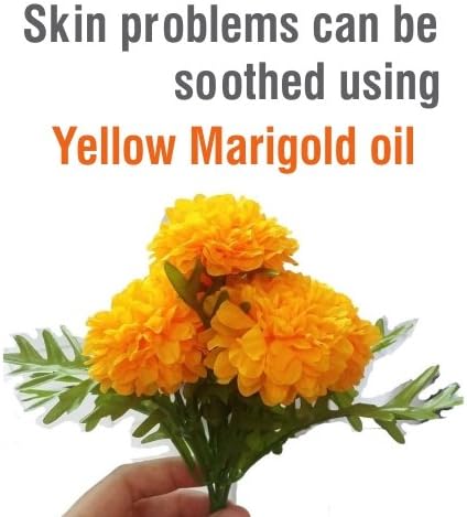 Salvia Yellow Marigold (Tagetes erecta) Oil - 50ml/1.69Fl Oz