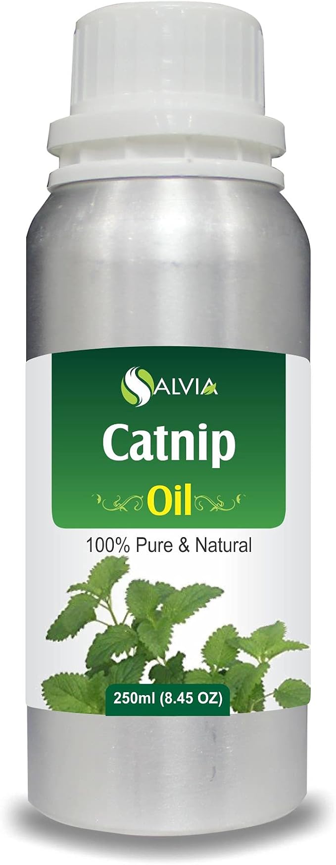 Catnip (Nepeta cataria) Essential Oil 100% Pure & Natural Undiluted Uncut Oil | Best for Aromatherapy (250 ml (8.45 oz))