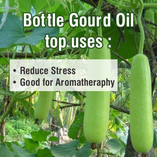 Bottle Gourd Oil (Lagenaria Siceraria) 100% Natural Pure Carrier Oil (100ml)
