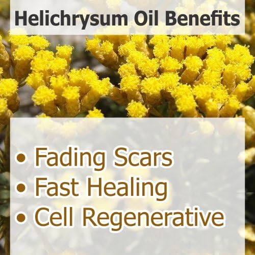 Salvia Helichrysum Essential Oil (Helichrysum Italicum) - 50 ML with Dropper
