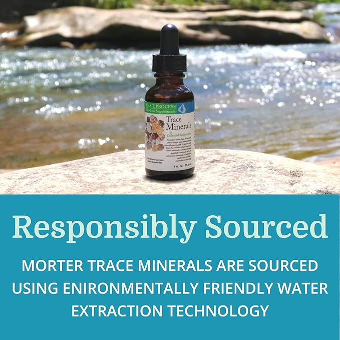 Morter Trace Minerals in Colloidal Suspension (3 Pack) Morter HealthSystem Best Process Alkaline — Nutrient Dense Trace Elements, Fulvic Minerals & Amino Acids