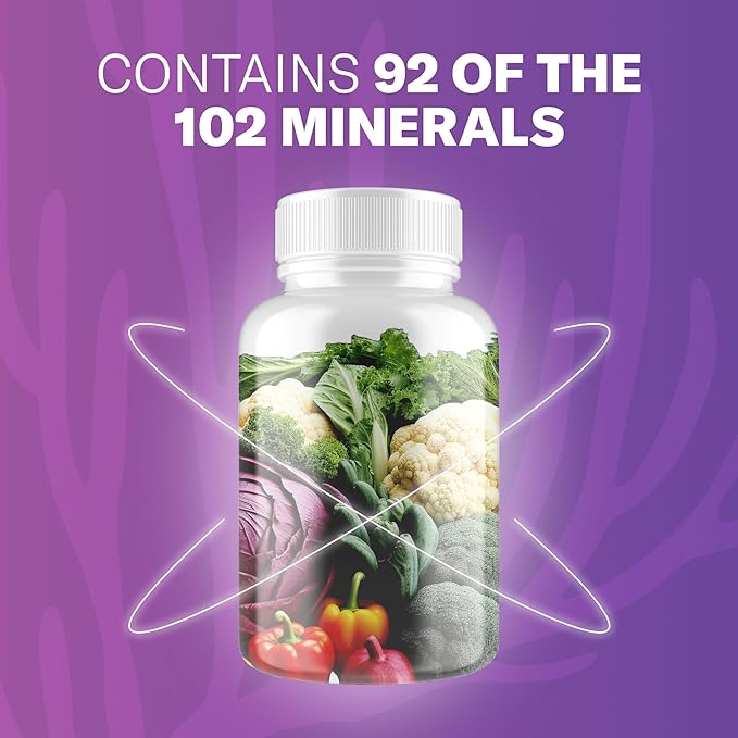 Irish Sea Moss Capsules - 120 Elderberry Capsules (1600mg) - Prebiotic Superfood - Boosts The Immune & Digestive System - Healthy Skin, Keto Detox, Gut, Joint Support