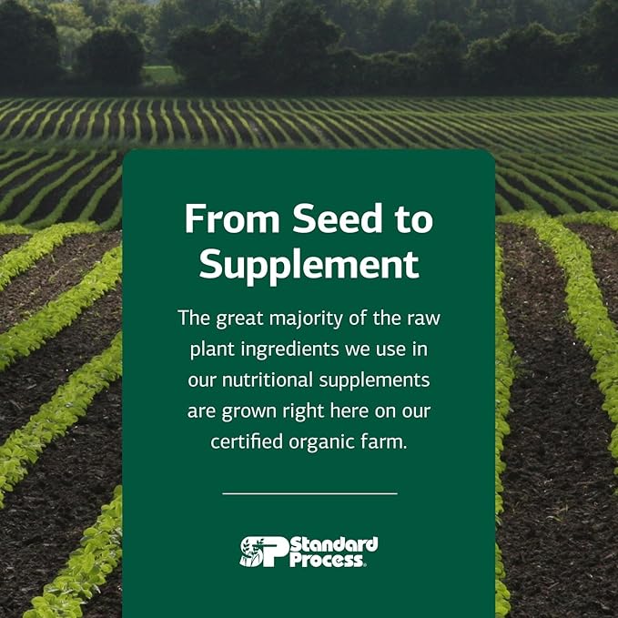 Standard Process Chlorophyll Complex - Immune Support, Antioxidant Activity, Skin Health and Hair Health Support with Vitamin A, Sunflower Lecithin, Buckwheat, Spanish Moss, and More - 240 Softgels