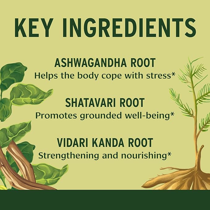 Banyan Botanicals Healthy Vata – Organic Herbal Supplement with Ashwagandha, Shatavari & Other Ayurvedic Herbs for Calm and Balanced Well-Being* – 90 Tablets – Non-GMO Sustainably Sourced Vegan