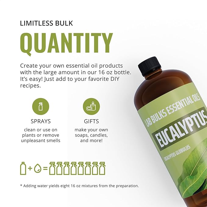 Eucalyptus Essential Oil (2 Pack) for Diffusers, Home Care, Candles, Aromatherapy, 16 oz Bulk Bottle, Eucalyptus Oil Spray