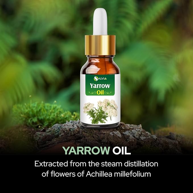 Yarrow Essential Oil (Achillea millefolium) Pure & Natural - Undiluted Uncut Premium Oil -Therapeutic Grade- Use for Aromatherapy (0.51 Fl Oz (Pack of 1))