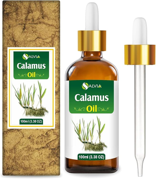 Calamus Oil (Acorus Calamus) Therapeutic Essential Oil with Dropper by Salvia Amber Bottle 100% Natural Uncut Undiluted Pure Cold Pressed Aromatherapy Premium Oil - 100ML/ 3.38fl oz