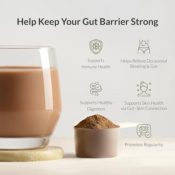 Microbiome Breakthrough Repair Powder - Chocolate Flavor - Has Lactobacillus Strains, Bone Broth & Collagen - Source of L-Glutamine - Gas & Bloating Relief - Improves Gut Health - 30 Servings - 150g