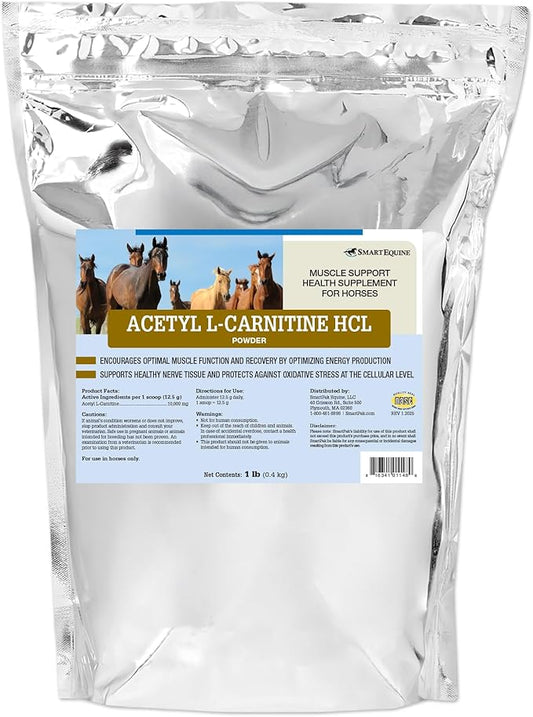 Uckele by SmartEquine Acetyl L-Carnitine HCL Powder | Horse Energy Supplement & Muscle Supplement for Horses Supporting Muscle Function & More | Antioxidant-Rich Pure Formula | 1 lb Bag