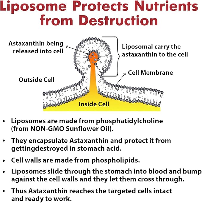 Liposomal Astaxanthin Supplement 24MG, Maximum Absorption, Antioxidant Stronger Than VIT C, Non-GMO & Gluten Free - 120 Softgels(4 Months Supply)