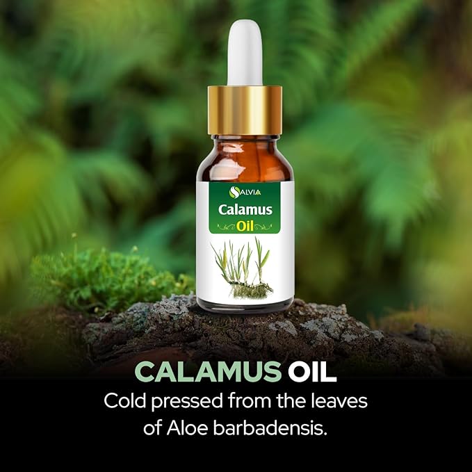 Calamus Oil (Acorus Calamus) Therapeutic Essential Oil with Dropper by Salvia Amber Bottle 100% Natural Uncut Undiluted Pure Cold Pressed Aromatherapy Premium Oil - 100ML/ 3.38fl oz