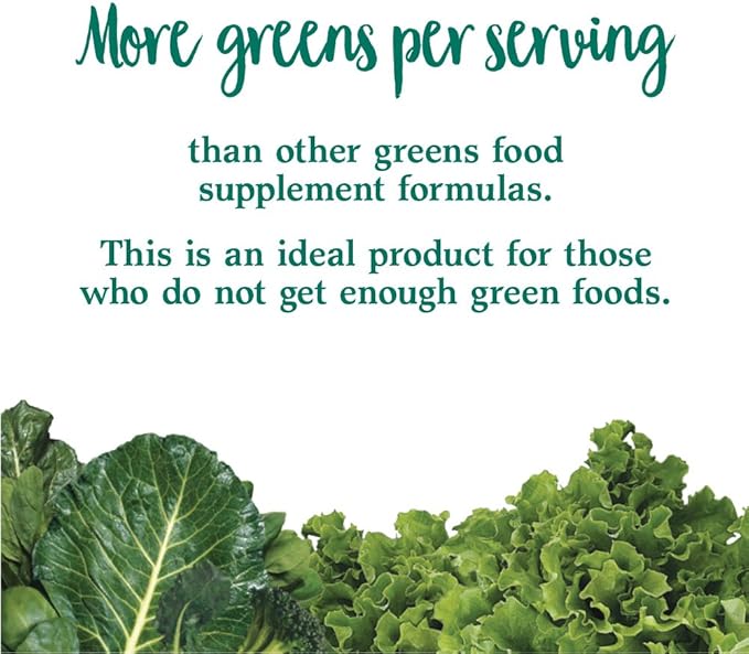 Garden of Life Perfect Food Super Green Formula - 60 Servings, 45 Superfoods, Greens, Fruit & Veggie Juice Superfood Powder Supplement, Probiotics & Organic Spirulina for Digestion & Immune Health