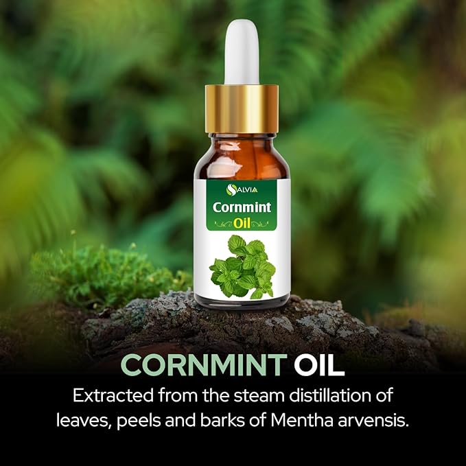 Salvia Cornmint Oil (Mentha arvensis) 100% Natural Pure Undiluted Uncut Essential Oil (15 ml with Dropper)