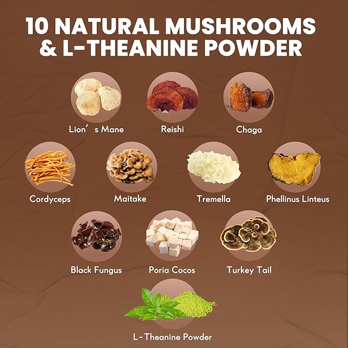 Mushroom Hot Cocoa Mix, 10 Mushrooms, MCT and Cocoa Powder with L-Theanine, Mushroom Coffee Alternatives for Sleep, 8.5 Oz