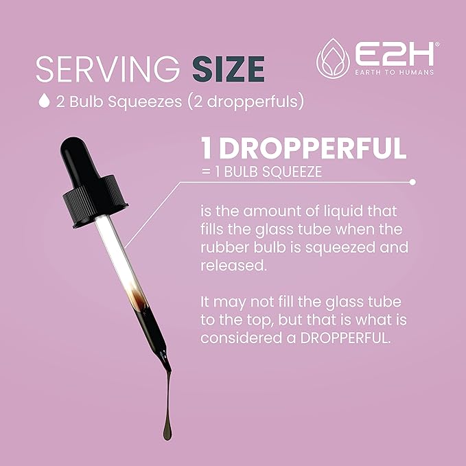 E2H Elderberry Syrup – Powerfull Antioxidants Supplement from Organic Elderberries Extract – Sambucus Elderberry Syrup for Kids & Adults for Immune Support | Non-GMO, Vegan (3 Bottles)