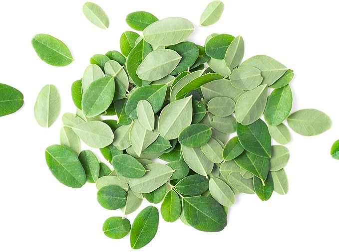PURE ORIGINAL INGREDIENTS Moringa (8oz) Moringa Oleifera Leaf Extract, Natural Herbal Supplement