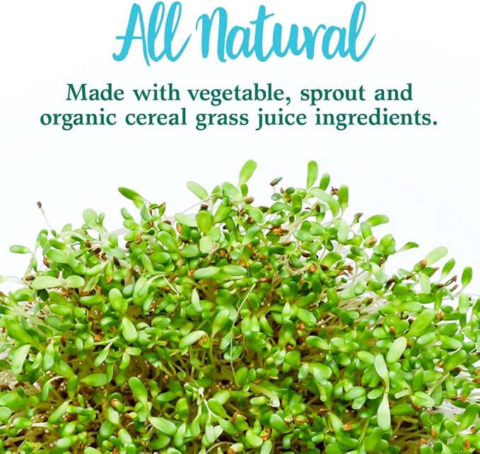 Garden of Life Perfect Food Super Green Formula - 60 Servings, 45 Superfoods, Greens, Fruit & Veggie Juice Superfood Powder Supplement, Probiotics & Organic Spirulina for Digestion & Immune Health