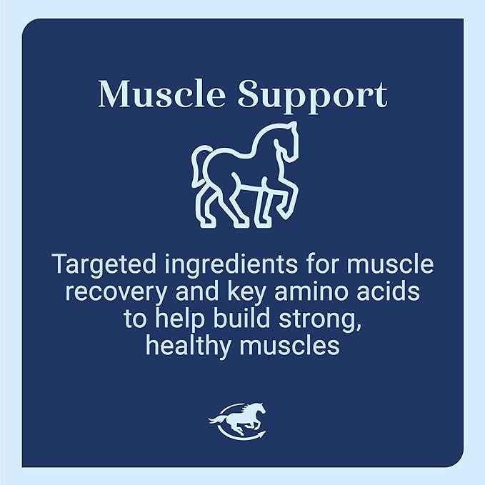 Uckele by SmartEquine Acetyl L-Carnitine HCL Powder | Horse Energy Supplement & Muscle Supplement for Horses Supporting Muscle Function & More | Antioxidant-Rich Pure Formula | 1 lb Bag