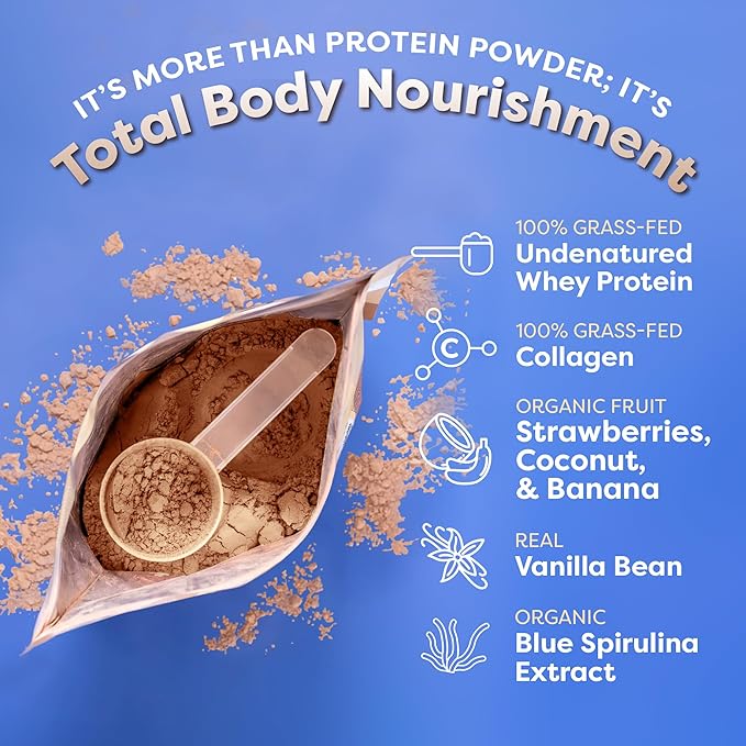 FlavCity All-in-One Protein Smoothie for Kids (Magical Berry) - Grass-Fed & Undenatured Whey Protein Powder with 15g Protein & 5g Collagen - Gluten-Free & Non-GMO - 15 Servings