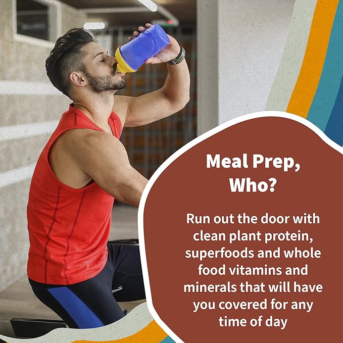 Garden of Life Meal Replacement Shakes, Vegan Protein Powder, Raw Organic Protein Powder, Vanilla Chai Protein Powder with Plant Based Pea Protein, Sprouts, Greens, Probiotics, Dairy Free 14 Servings