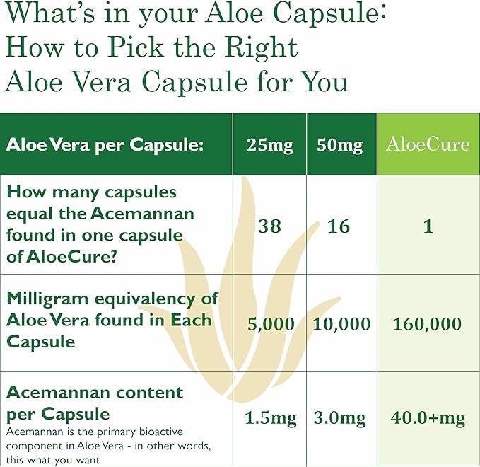 AloeCure Organic Aloe Vera Capsules, 160,000mg Inner Aloe Leaf Equivalent per Serving, Support Gut, Digestive, & Immune Health, Helps Maintain Balanced Stomach Acidity, Aloin Free, 60 Capsules