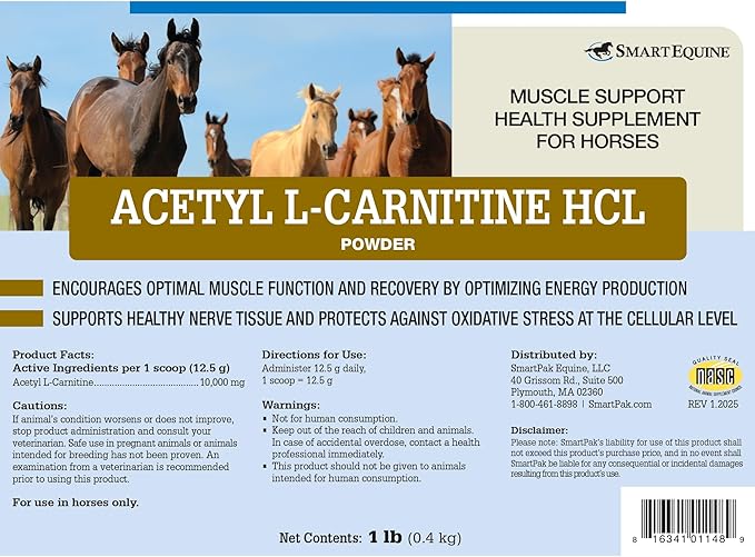 Uckele by SmartEquine Acetyl L-Carnitine HCL Powder | Horse Energy Supplement & Muscle Supplement for Horses Supporting Muscle Function & More | Antioxidant-Rich Pure Formula | 1 lb Bag