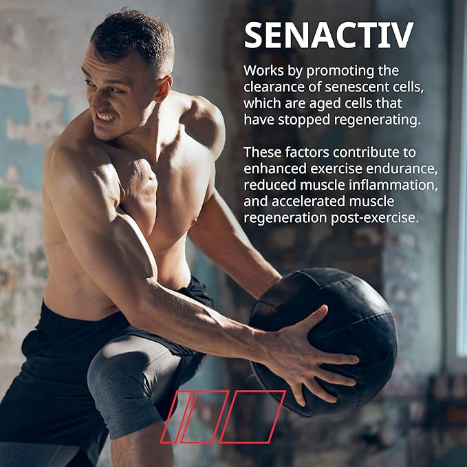 Granite Nutrition Recovery - Premium Intra-Workout Drink with EAAs, Cluster Dextrin, Sensoril & Senactiv for Athletic Performance and Lean Muscle Gains - Fruit Blast (30 Servings)
