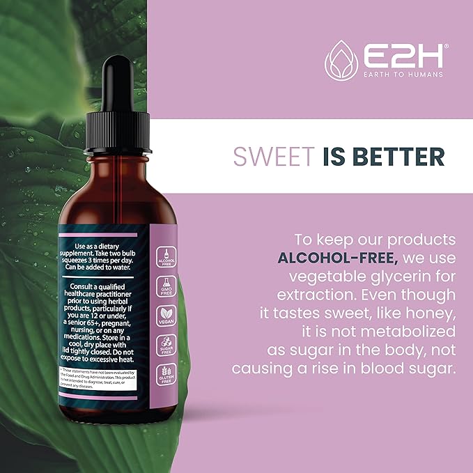 E2H Elderberry Syrup – Powerfull Antioxidants Supplement from Organic Elderberries Extract – Sambucus Elderberry Syrup for Kids & Adults for Immune Support | Non-GMO, Vegan (3 Bottles)