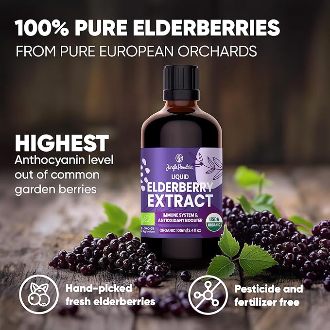 Organic Elderberry Syrup USDA Certified 3.4 fl oz Bottle Liquid Sambucus Elderberry Immune Support Supplement for Kids and Adults Alcohol-Free European Origin Elderberries Extract High Bioavailability