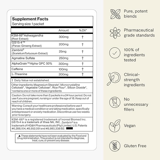 Thesis Creativity - Nootropic Brain Support Supplement - Supports Learning & Memory, Verbal Fluency, and More - Ashwagandha, Agmatine, L-Theanine & More - 1 Month Supply (24 Servings)