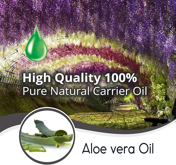 Aloe Vera Oil Therapeutic Premium Oil with Dropper by Salvia in Amber Glass Bottle 100% Natural Pure Undiluted Cold Pressed Aromatherapy Carrier Oil (50 ML with Dropper)