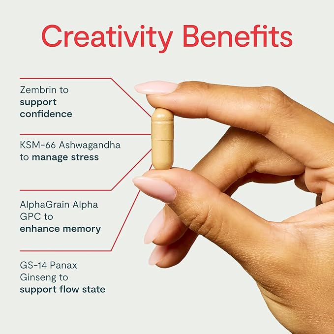 Thesis Creativity - Nootropic Brain Support Supplement - Supports Learning & Memory, Verbal Fluency, and More - Ashwagandha, Agmatine, L-Theanine & More - 1 Month Supply (24 Servings)