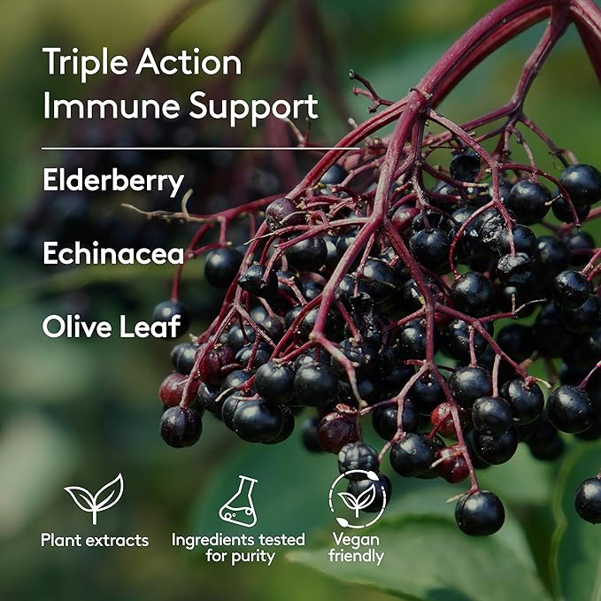 Children’s Immune + Wellbeing Syrup, Liquid Herbal Immune Support for Kids with Echinacea, Elderberry & Olive Leaf, Natural Elderberry Flavor, Plant-Based, Ages 3 to 12, 5.1 fl oz
