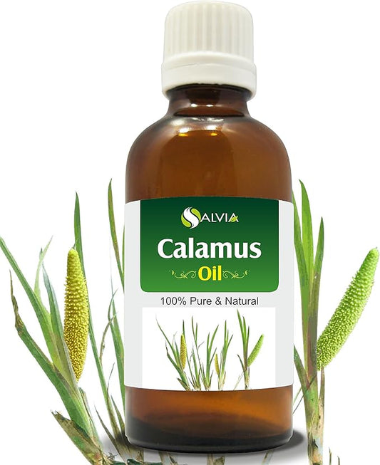 Calamus Oil (Acorus Calamus) Therapeutic Essential Oil by Salvia Amber Bottle Natural Uncut Undiluted Pure Cold Pressed Aromatherapy Premium Oil - 15ML/ 0.5 fl oz