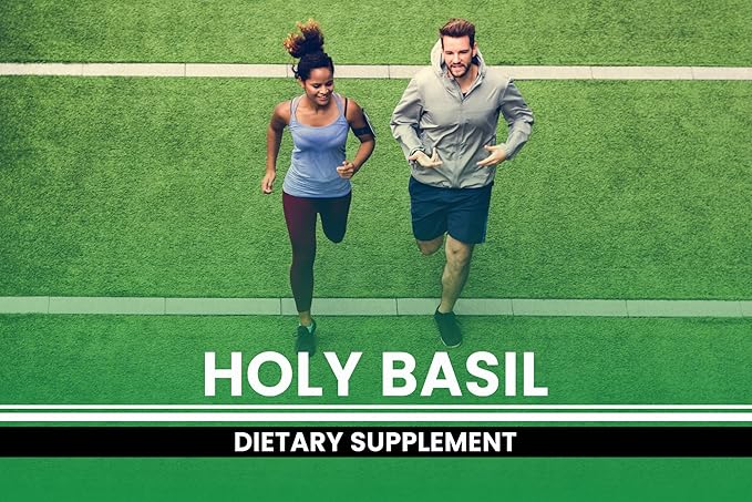 PURE ORIGINAL INGREDIENTS Holy Basil (365 Capsules) No Magnesium Or Rice Fillers, Always Pure, Lab Verified